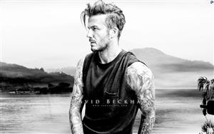 David Beckham